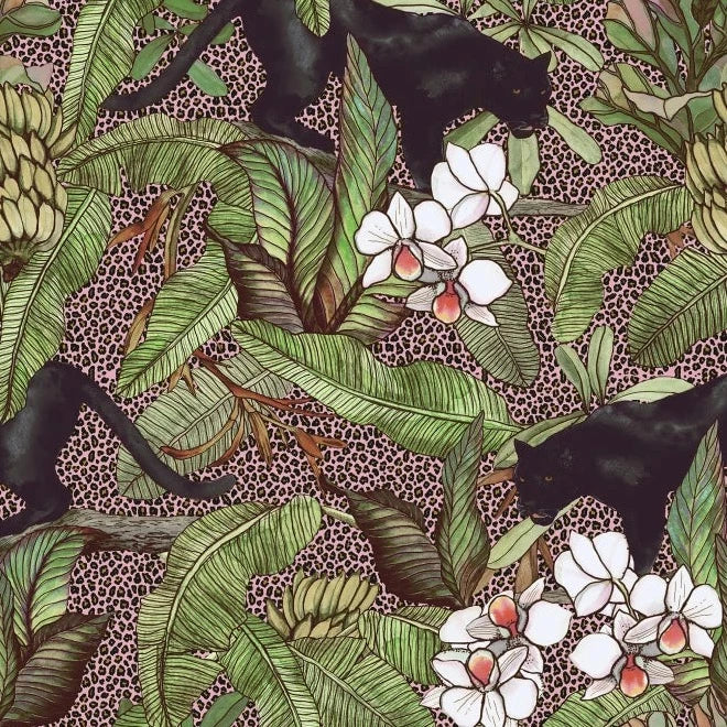 Alluring Panthers - Pink