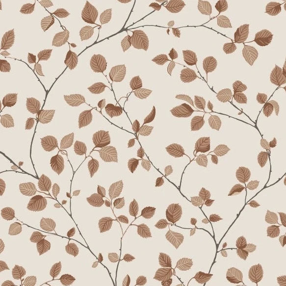 Bokskog - Terracotta