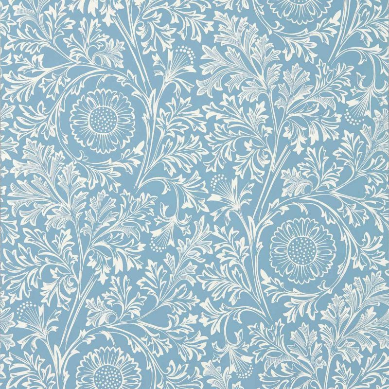 Chamomile - China Blue