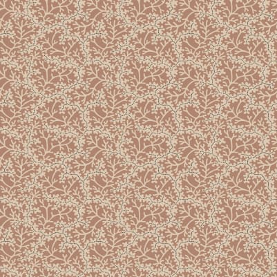 Coral - Terracotta