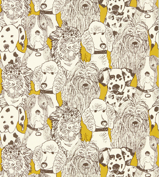 Doggy Day Care - Mustard