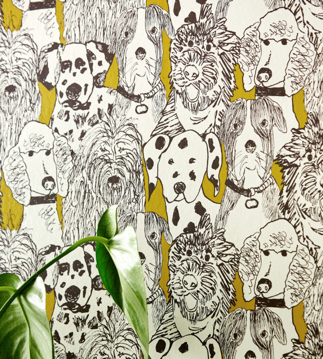 Doggy Day Care - Mustard