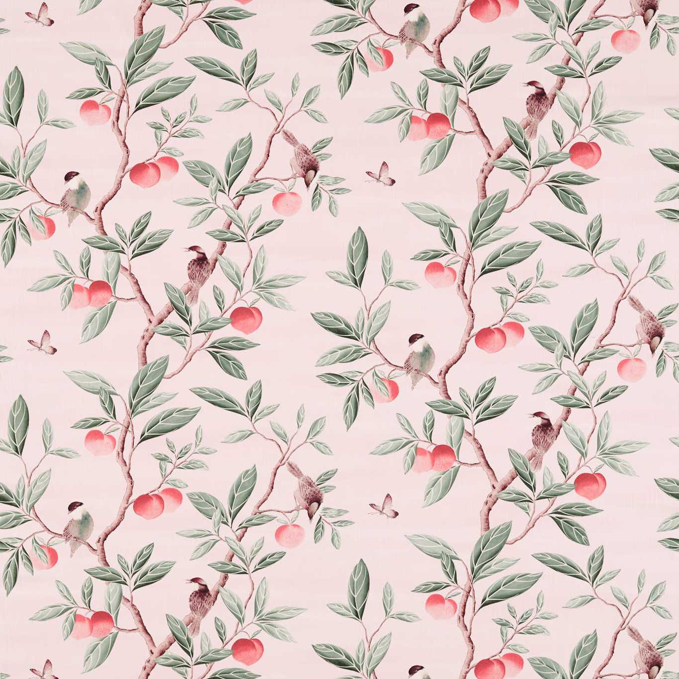 Ella - Powder/Sage/Peach