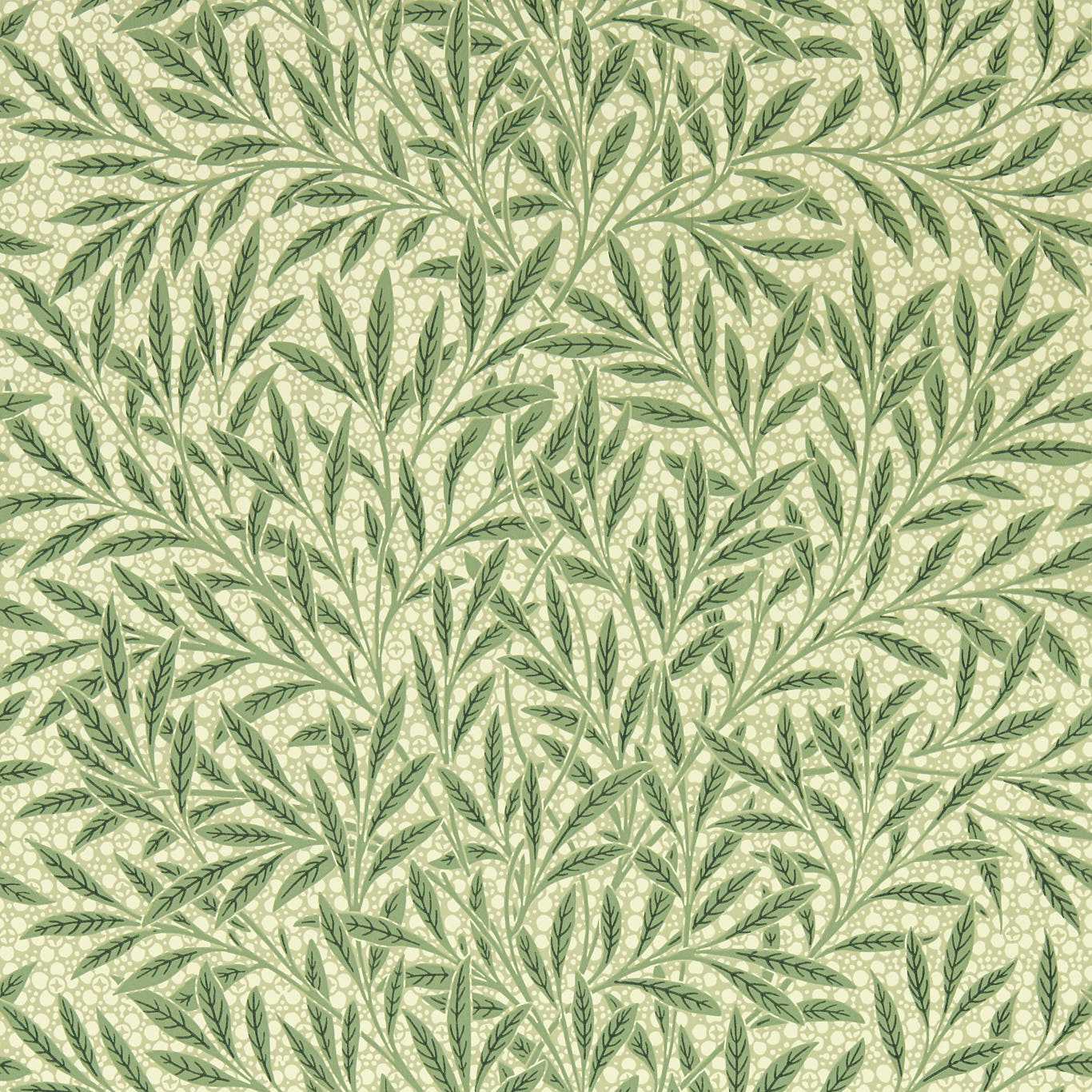 Emery's Willow - Herball