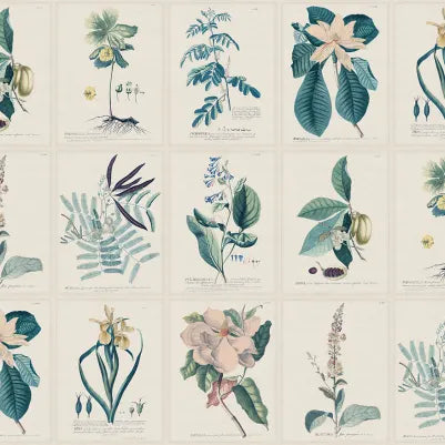 Flora - Blue