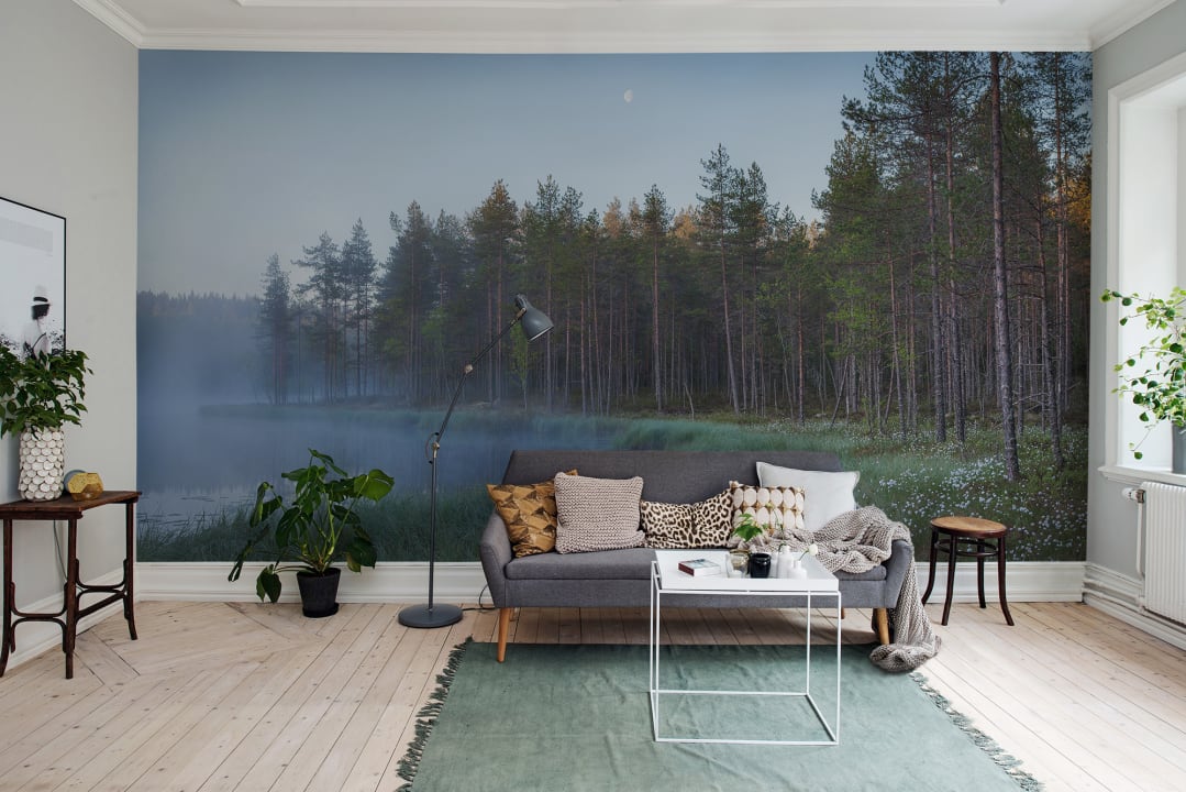 Forest Lake