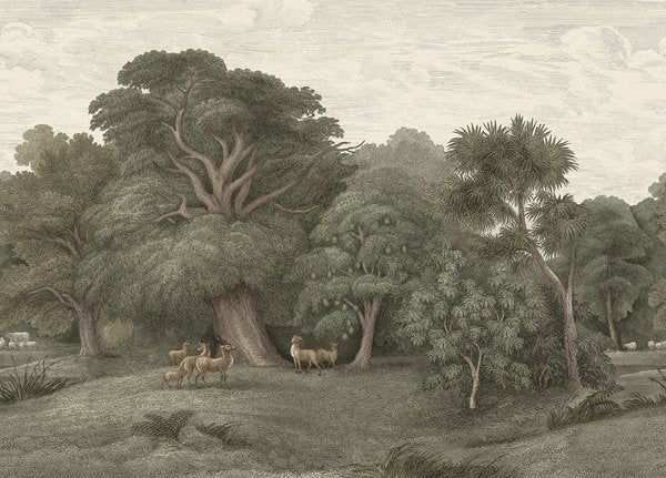 Jungle Forest - Green