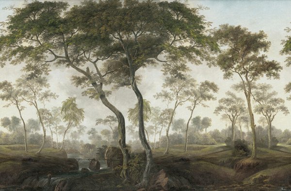 The Green Forest - Morning
