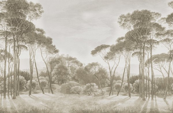Pine Wood - Vintage