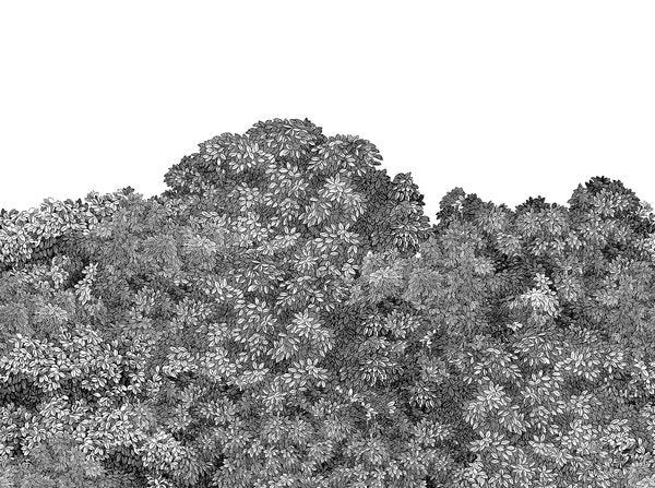 Belle Buisson - Black