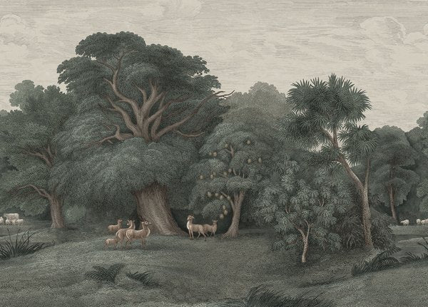 Jungle Forest - Dark