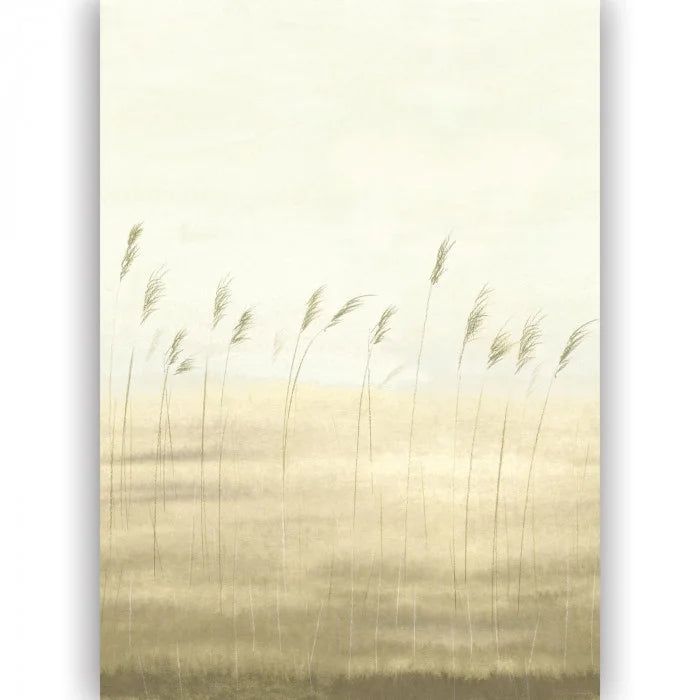 Jonc Des Dunes (2m x 3.1m)