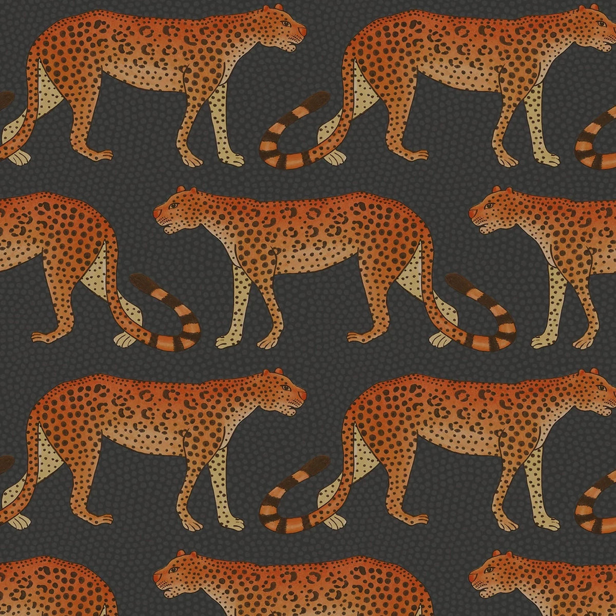 Leopard Walk - Black