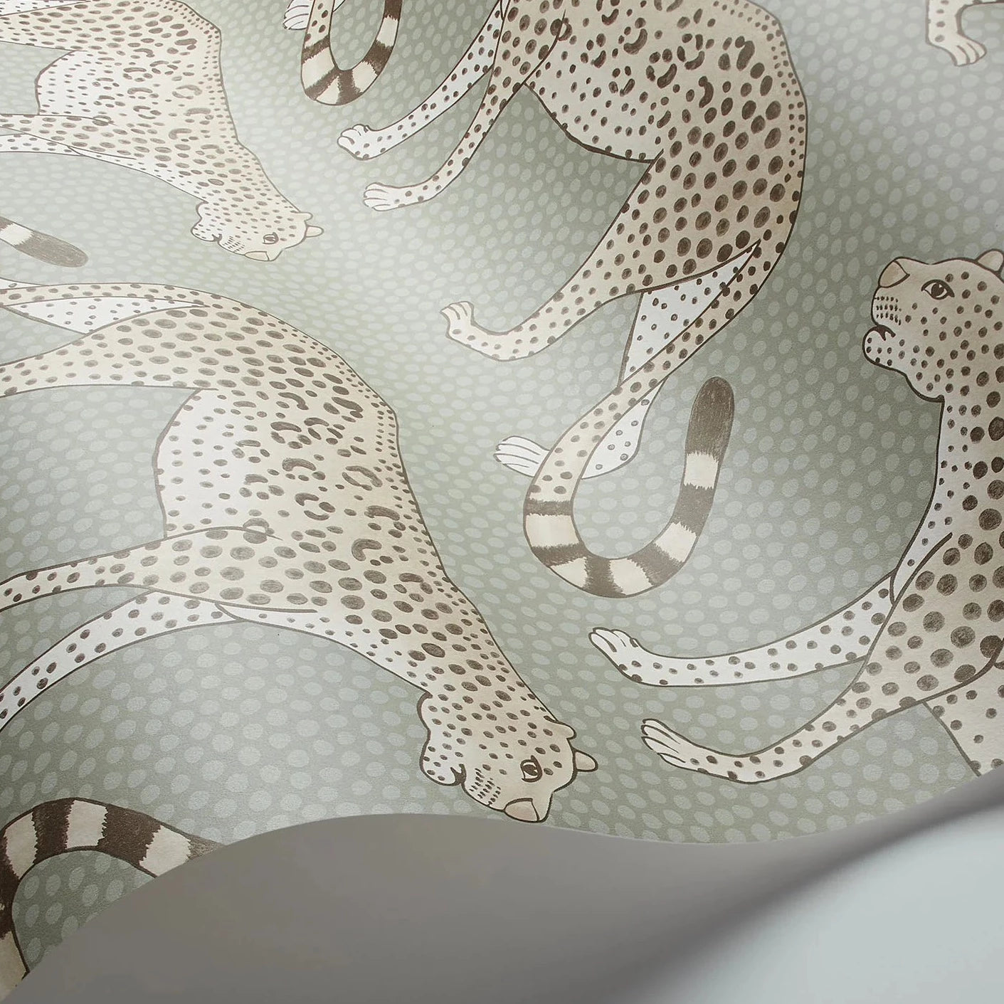 Leopard Walk - Blue