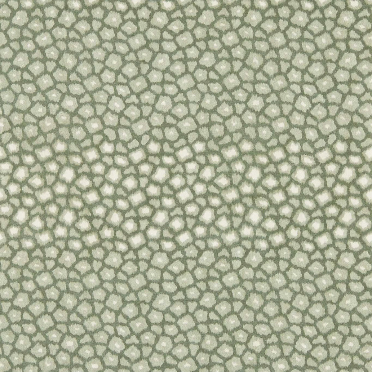 Loam - Evergreen