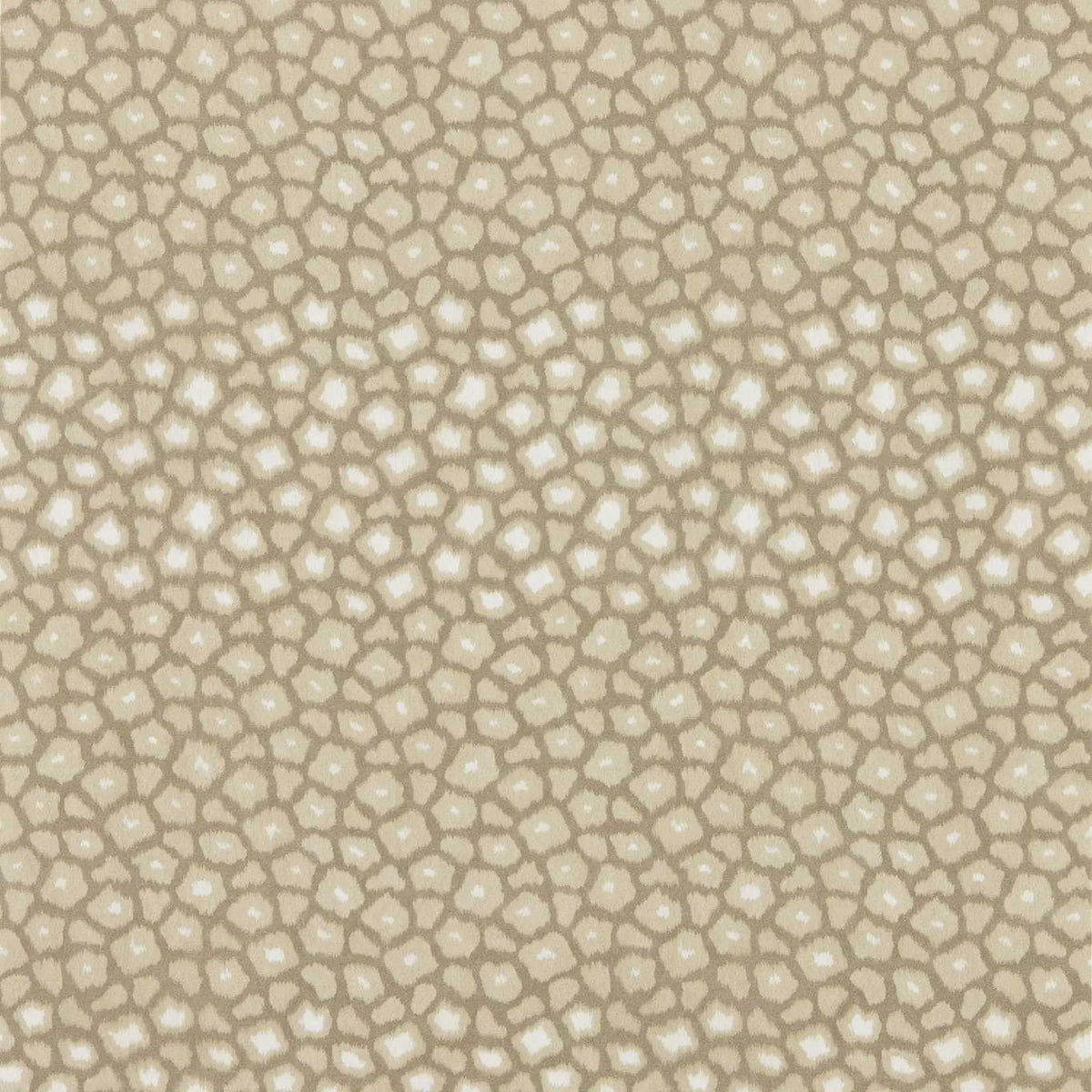 Loam - Sandstone