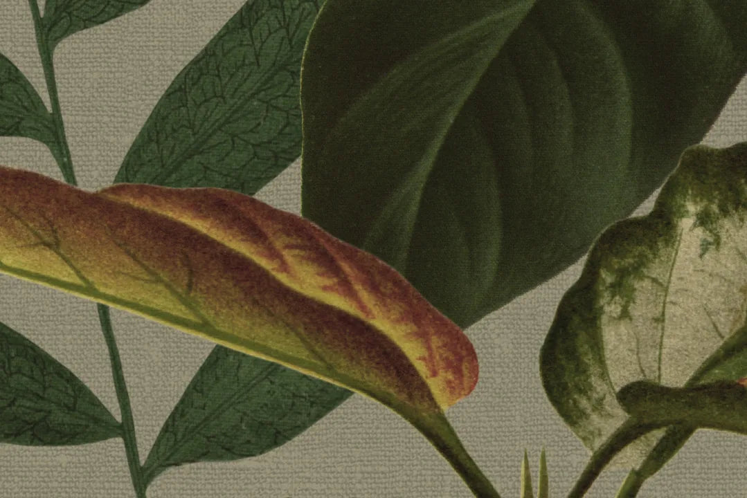 Mischievous Jungle - Sand