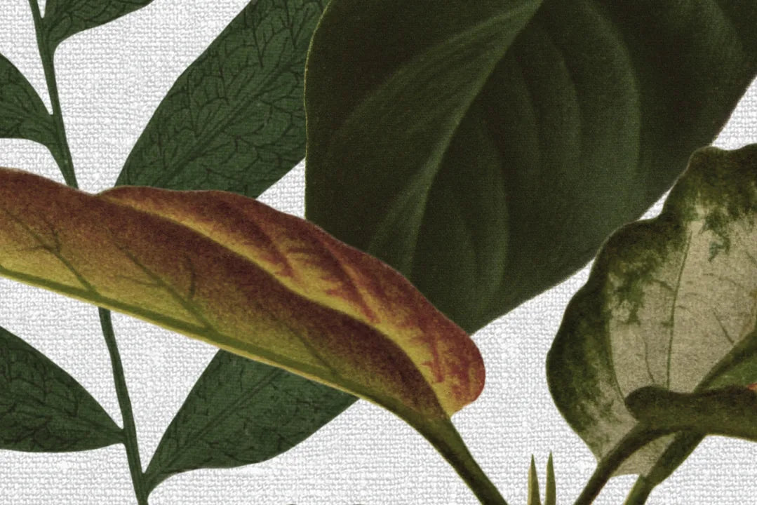 Mischievous Jungle - White