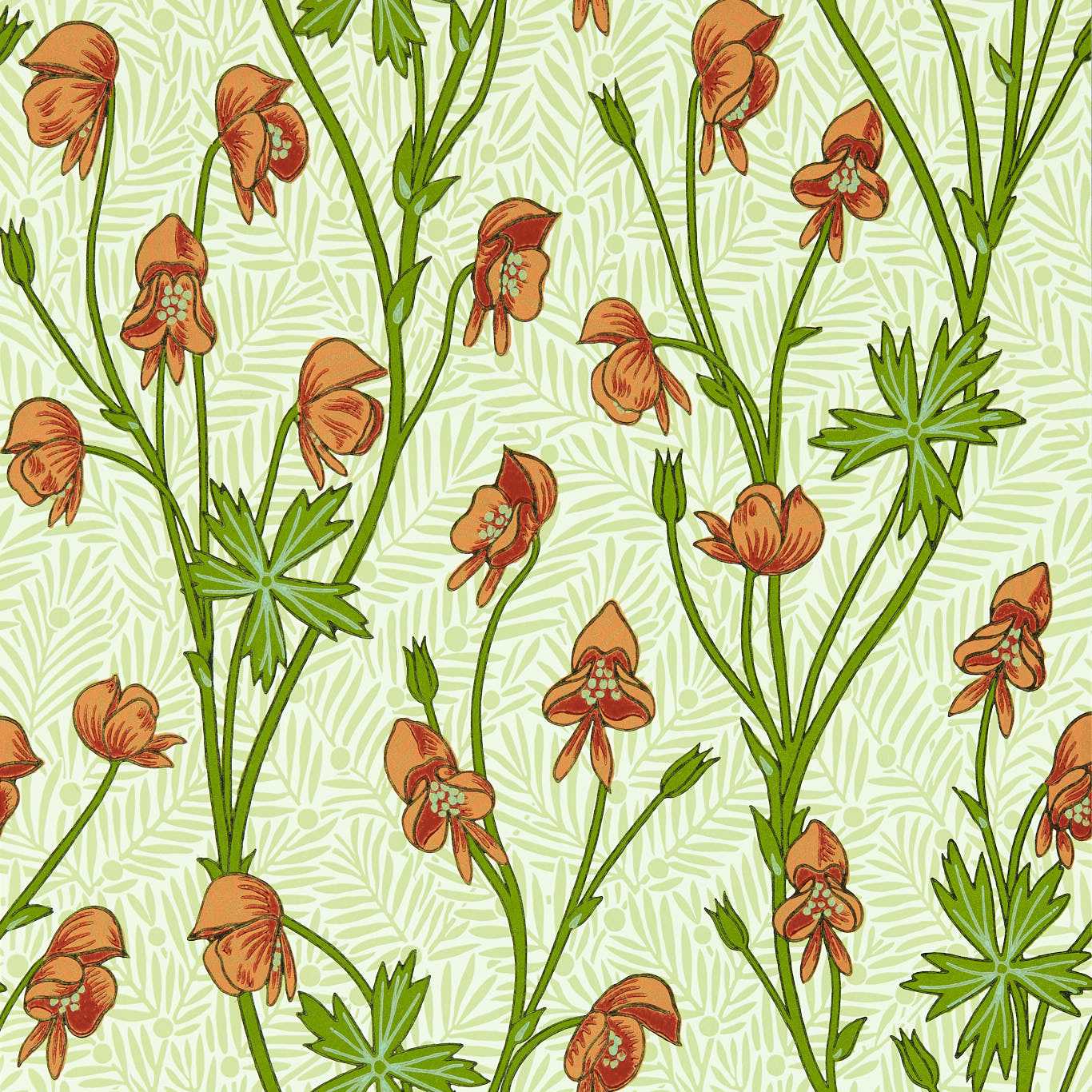 Monkshood - Tangerine/Sage