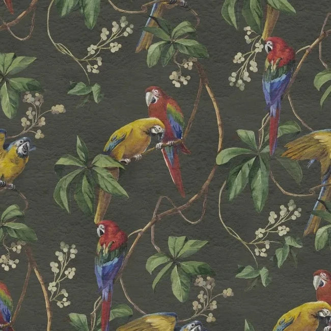 Parrots - Green