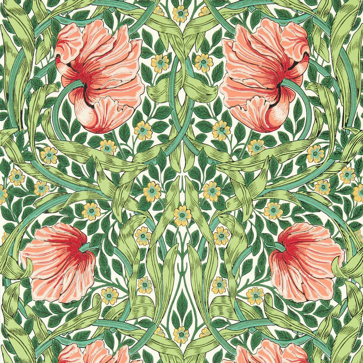 Pimpernel - Shamrock/Watermelon