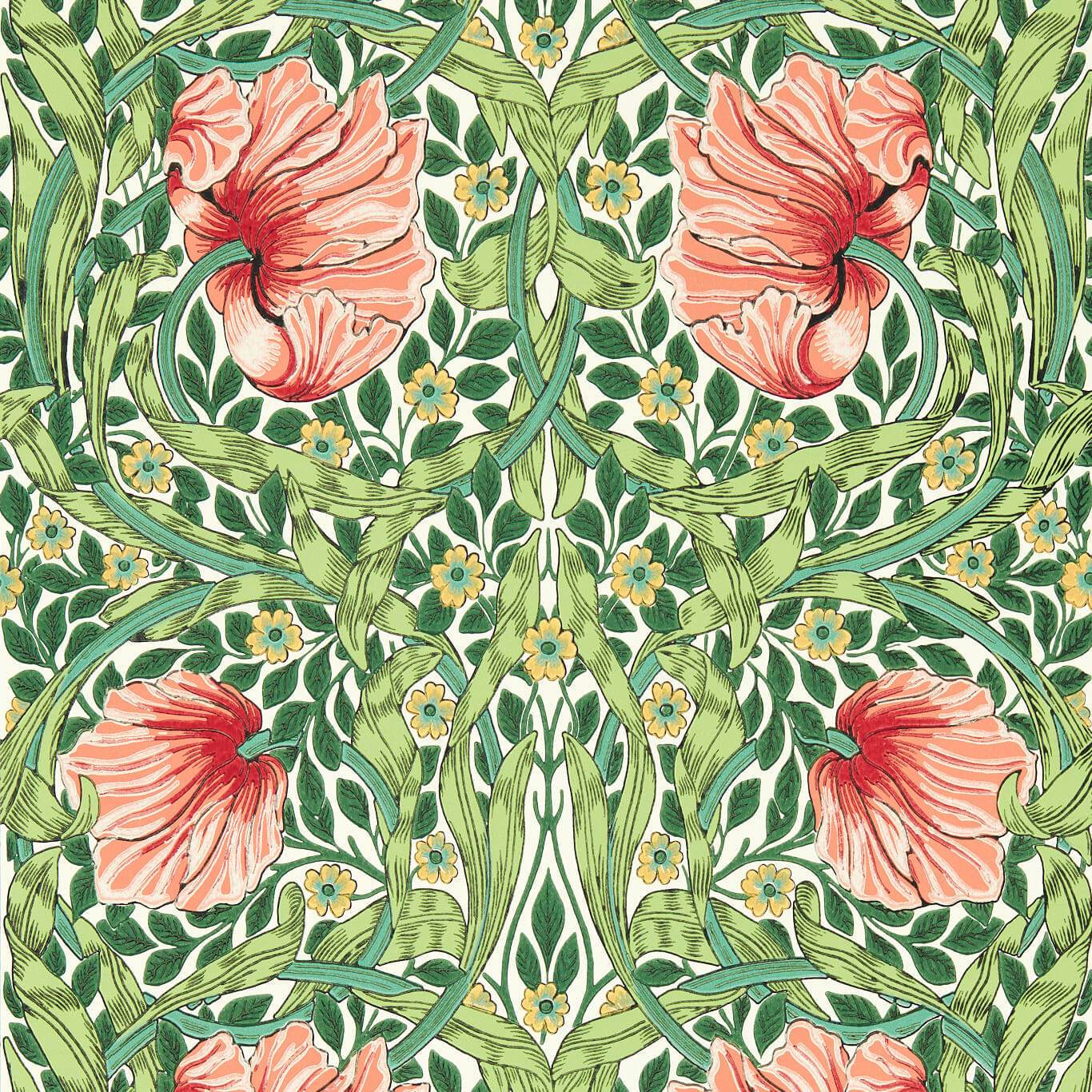 Pimpernel - Shamrock/Watermelon