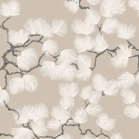 Pine - Beige