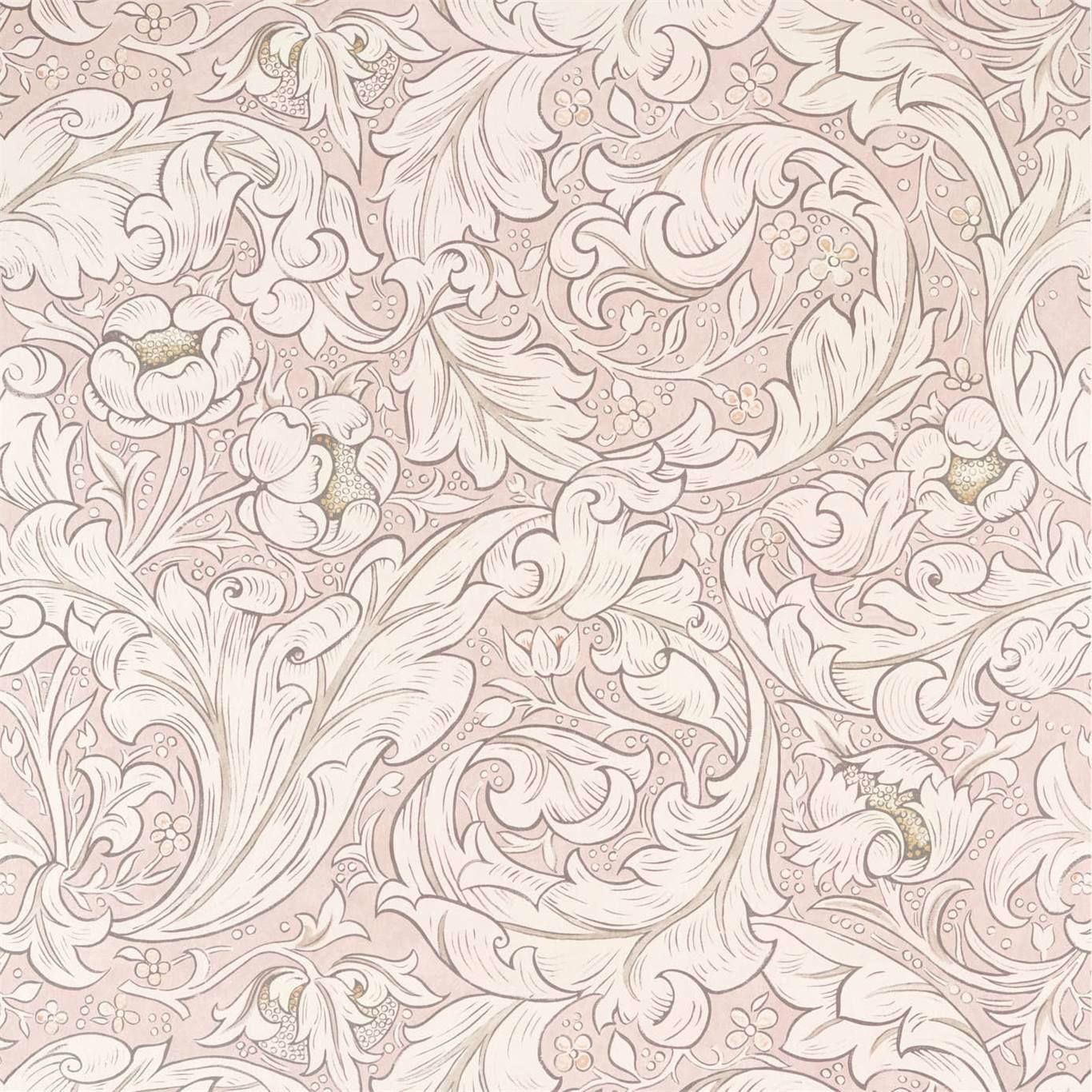 Pure Bachelors Button - Faded Sea Pink (sold by the metre)