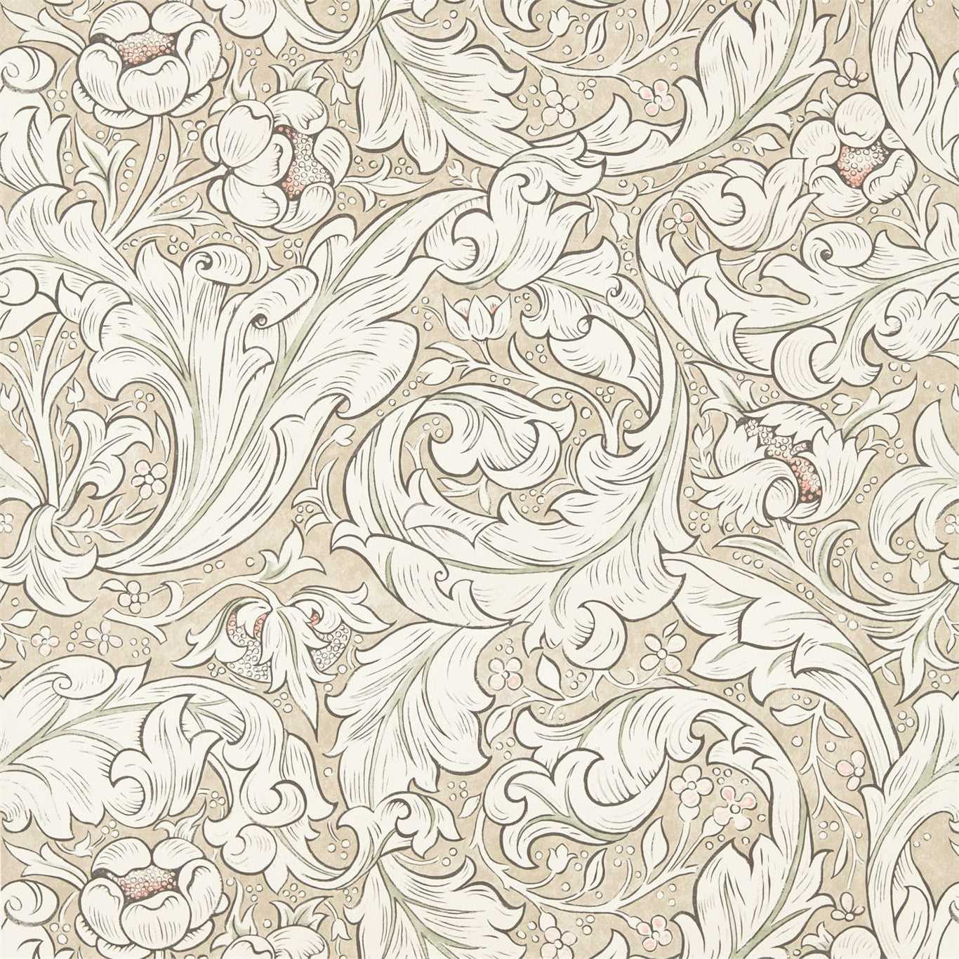Pure Bachelors Button - Linen/Coral (sold by the metre)