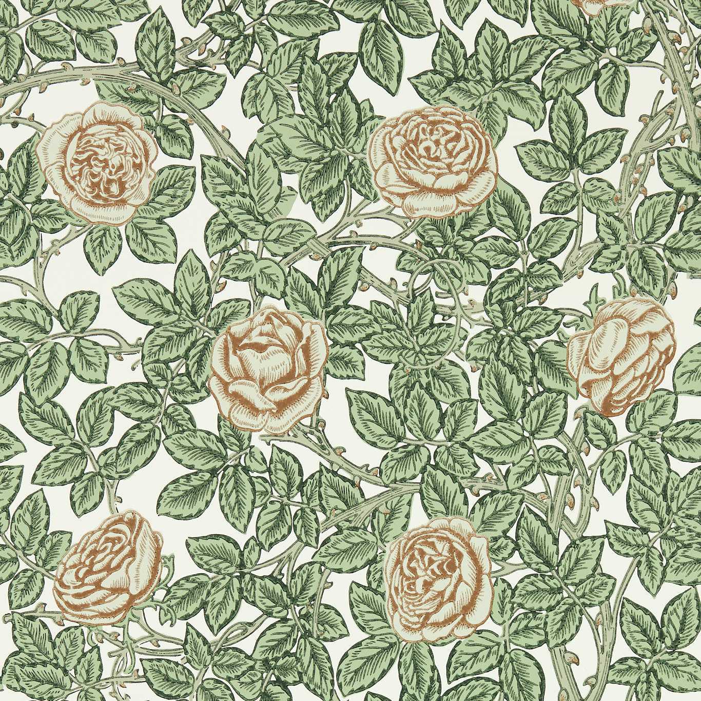 Rambling Rose - Leafy Arbour/Pearwood