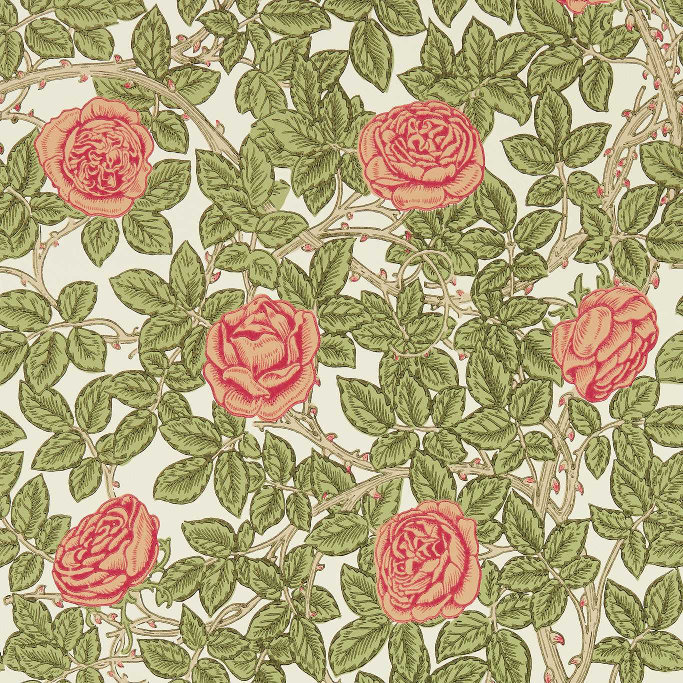 Rambling Rose - Twining Vine