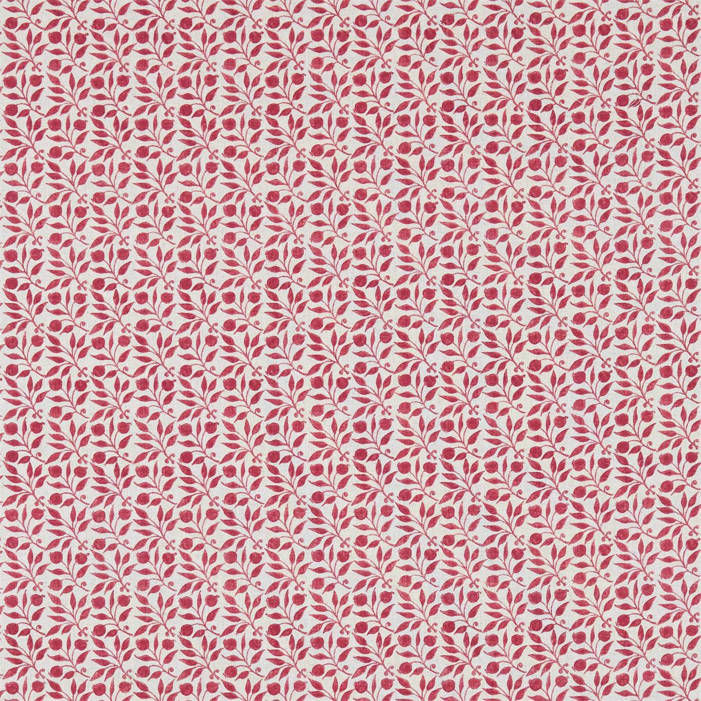 Rosehip - Rose