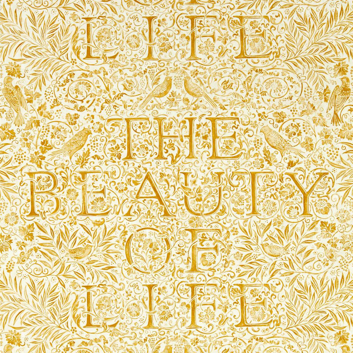 The Beauty of Life - Sunflower