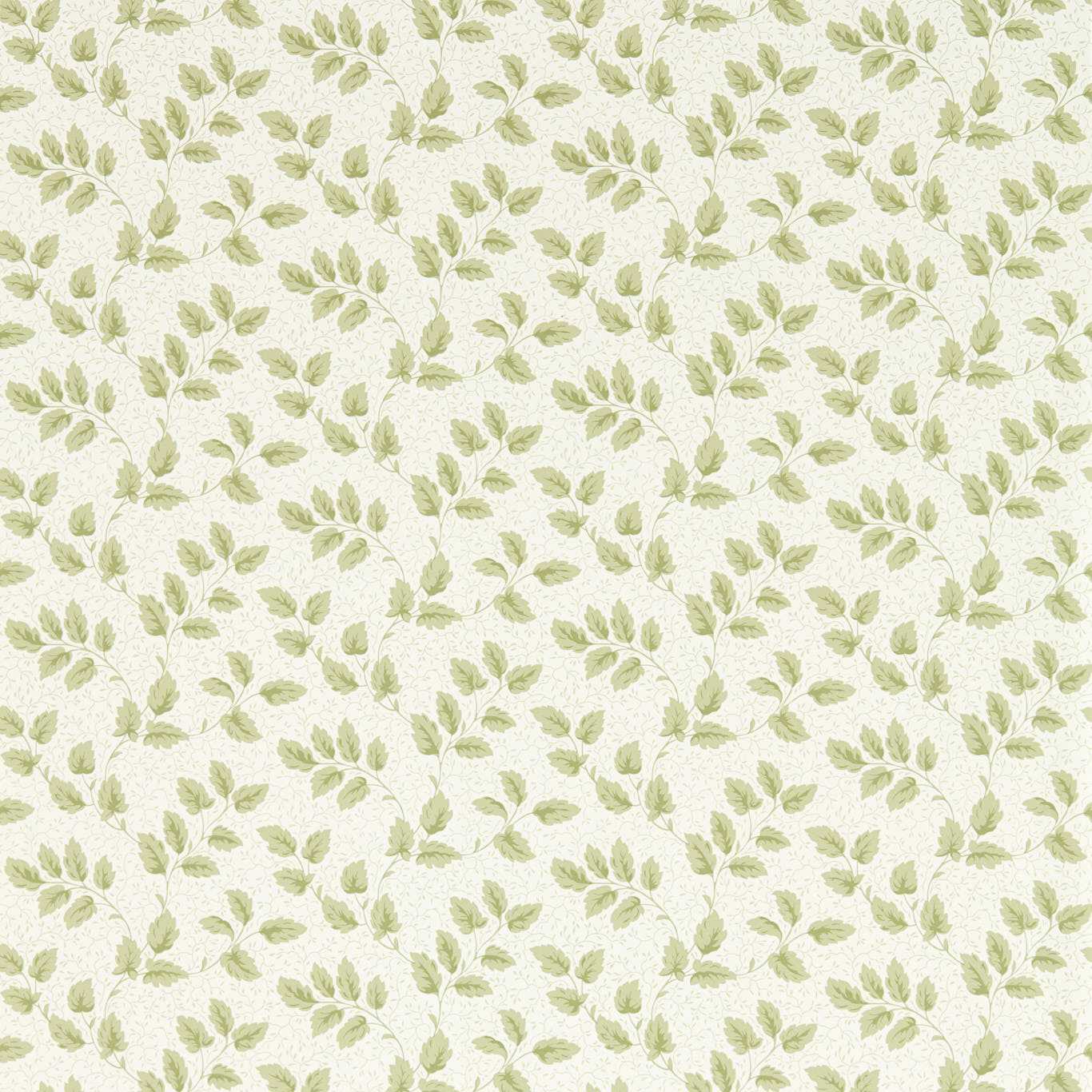 Tomato Leaf - Leaf Green