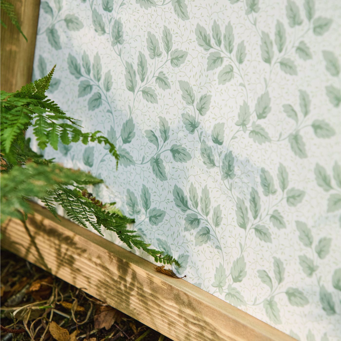 Tomato Leaf - Willow