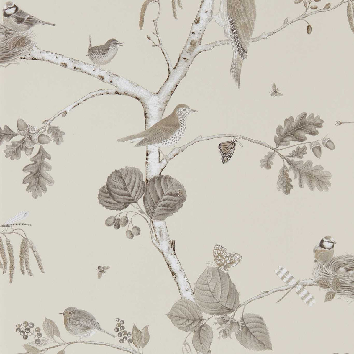 Woodland Chorus - Sepia/Neutral