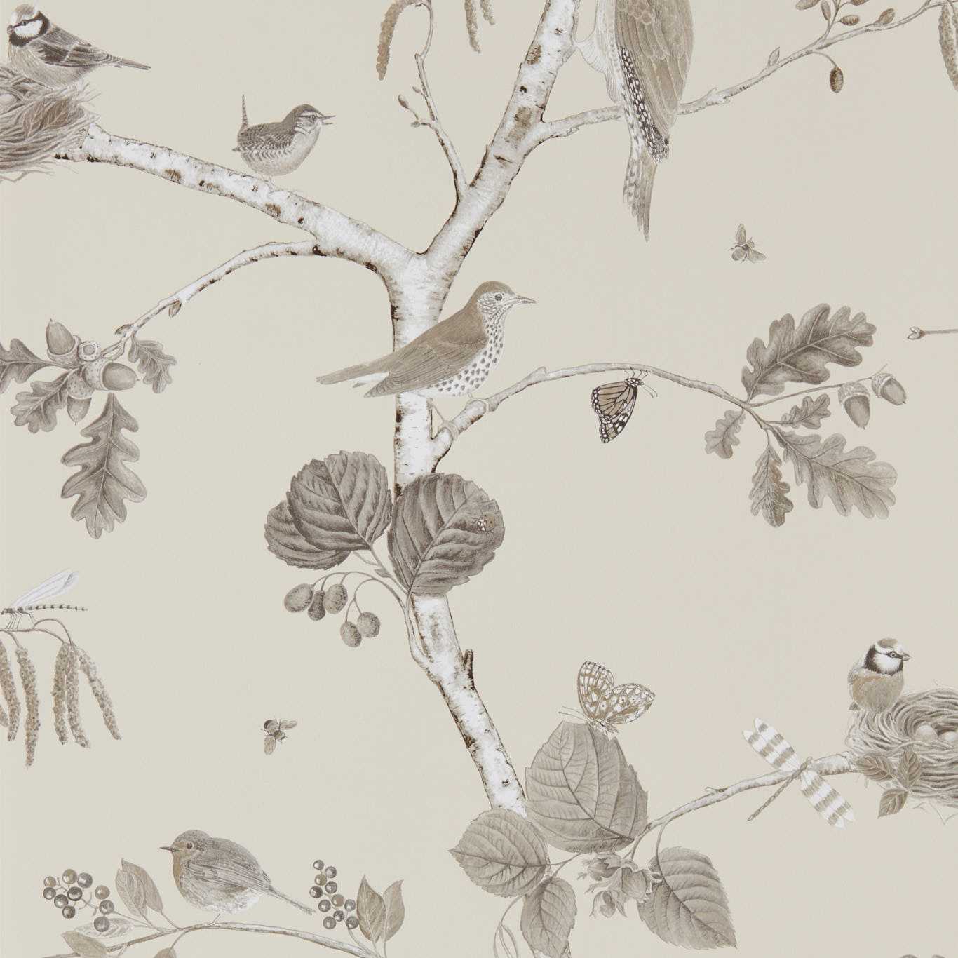 Woodland Chorus - Sepia/Neutral
