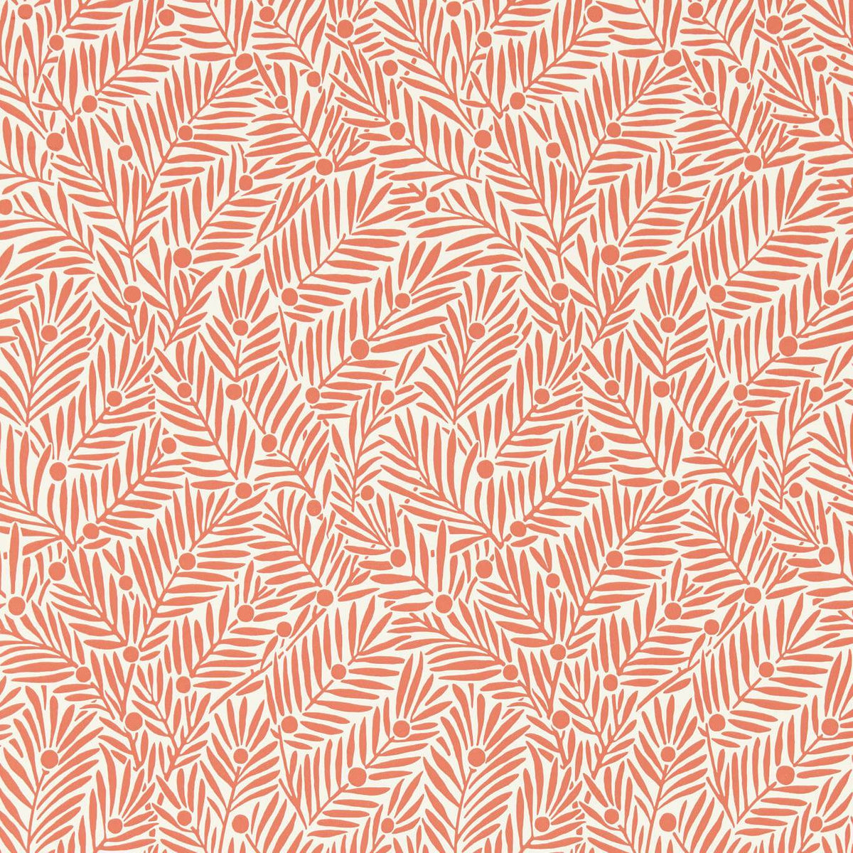 Yew & Aril - Watermelon