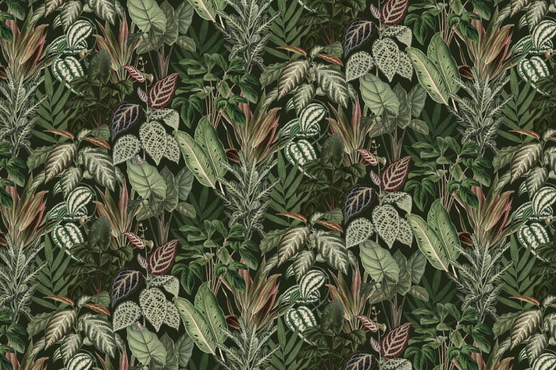 Mischievous Monkeys - Lush