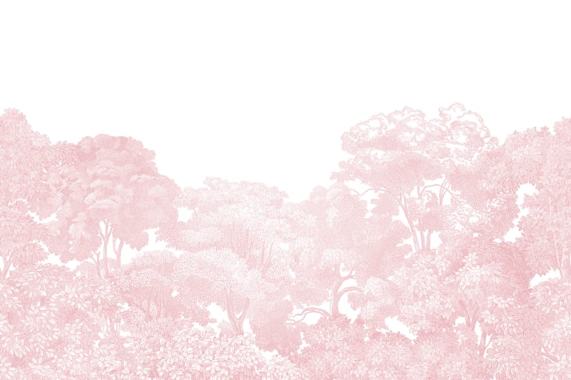 Bellewood - Pink