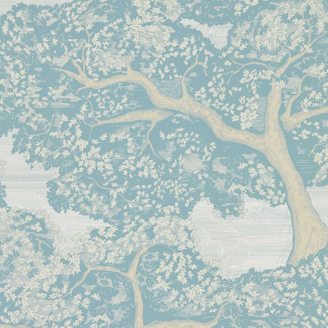 Eternal Oak - Sky Blue/First Light