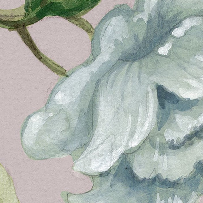 Grandiflora - Soft Pink