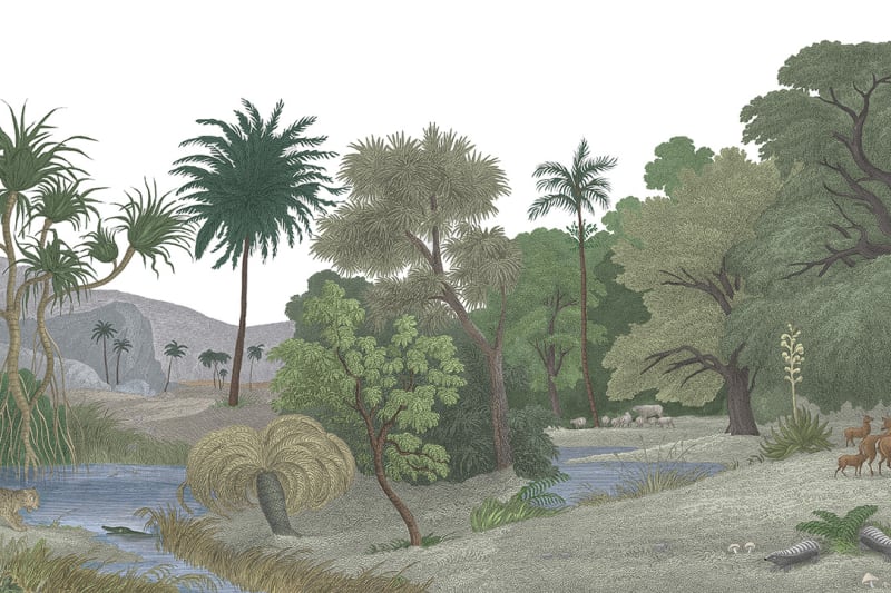 Jungle Land - Colour
