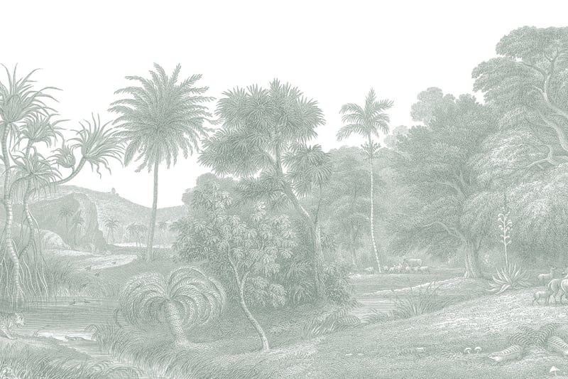 Jungle Land - Verdant
