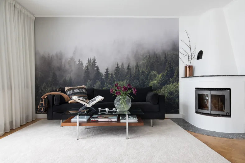 Misty Fir Forest