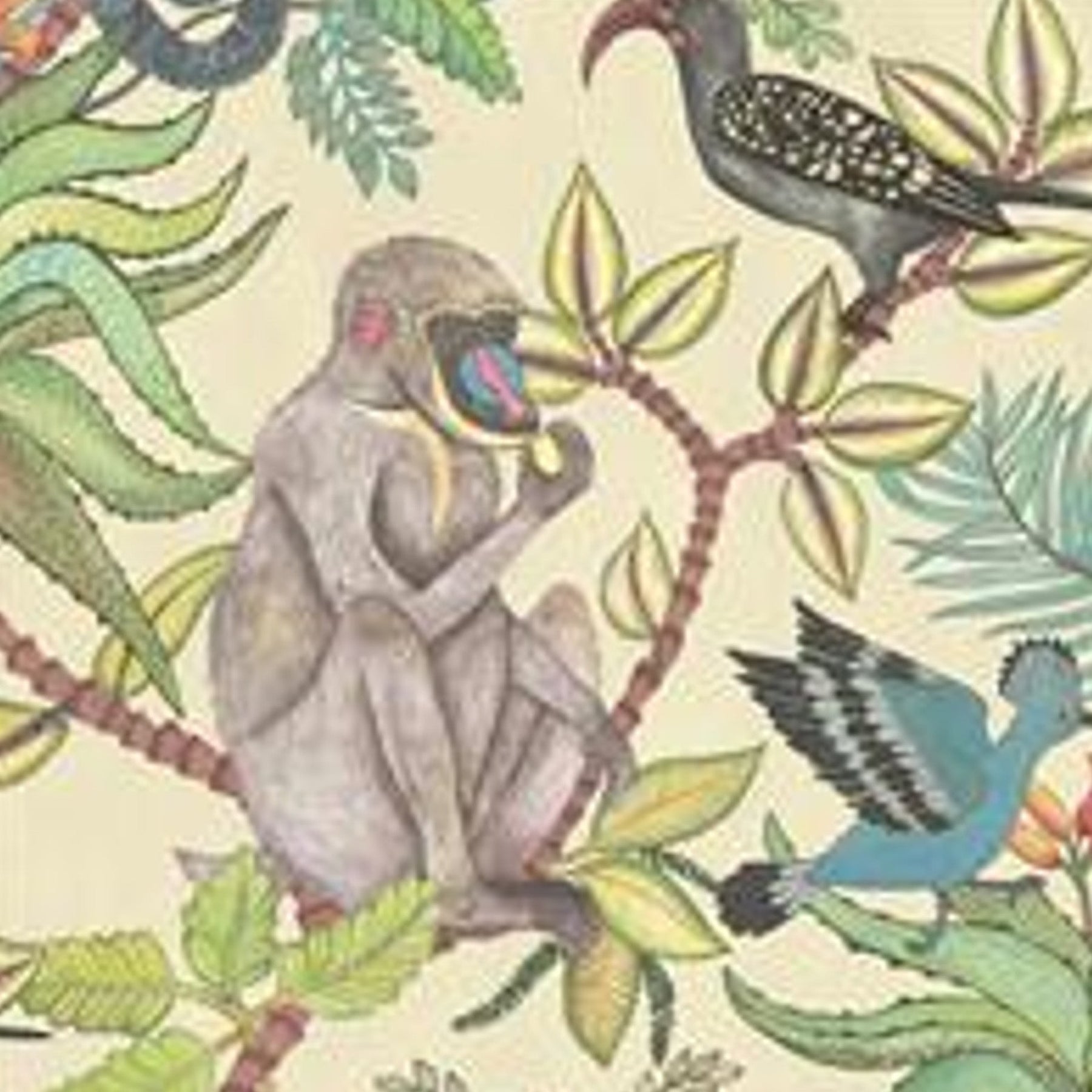 Savuti - Multi Light