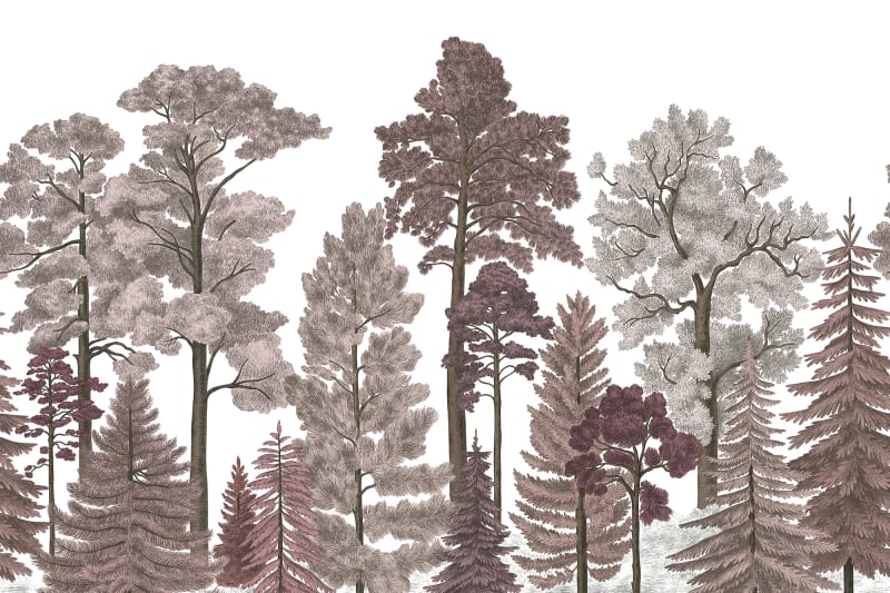 Scandinavian Bellewood - Dawn
