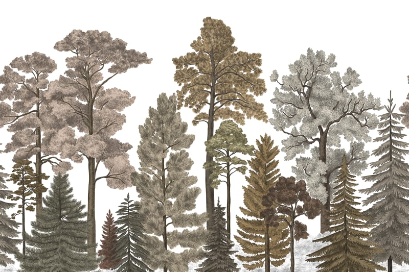 Scandinavian Bellewood - Fall