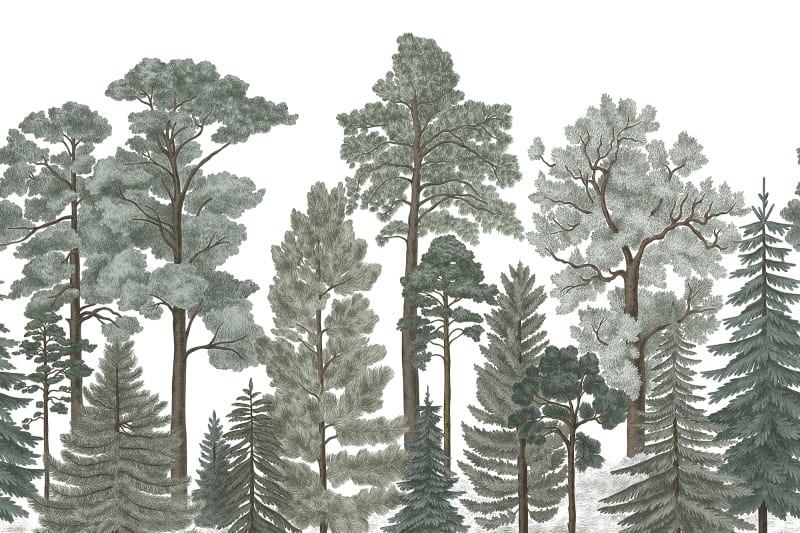 Scandinavian Bellewood - Frost