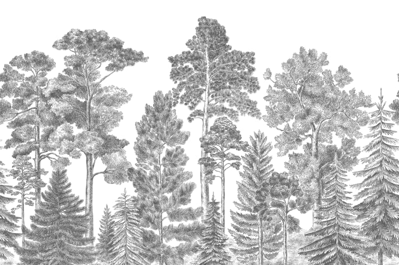 Scandinavian Bellewood - Gray